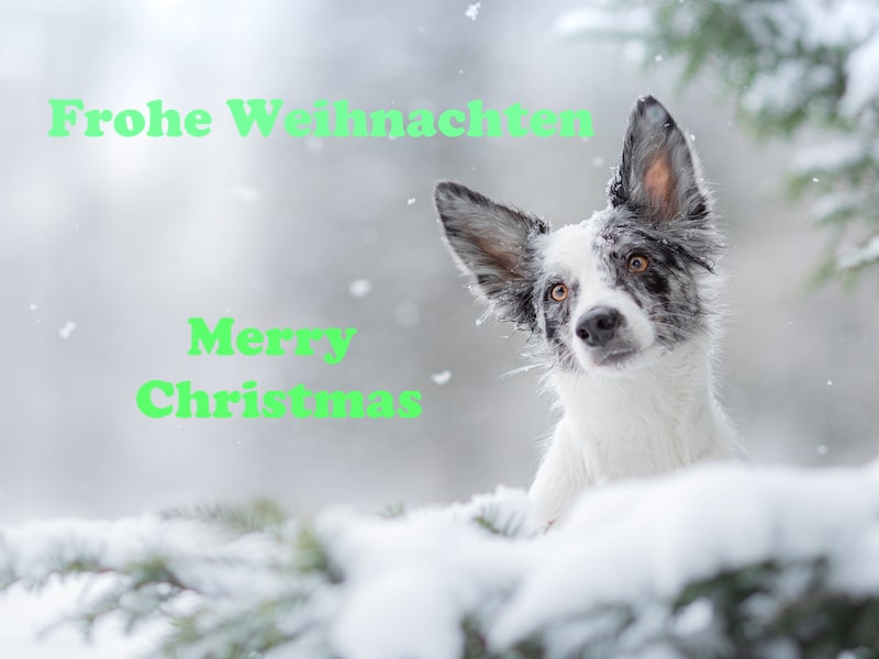 Weihnachtsgrüße 2020