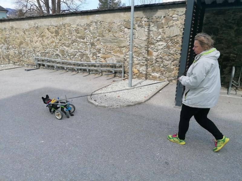 11.04.2021 Lungau Villach