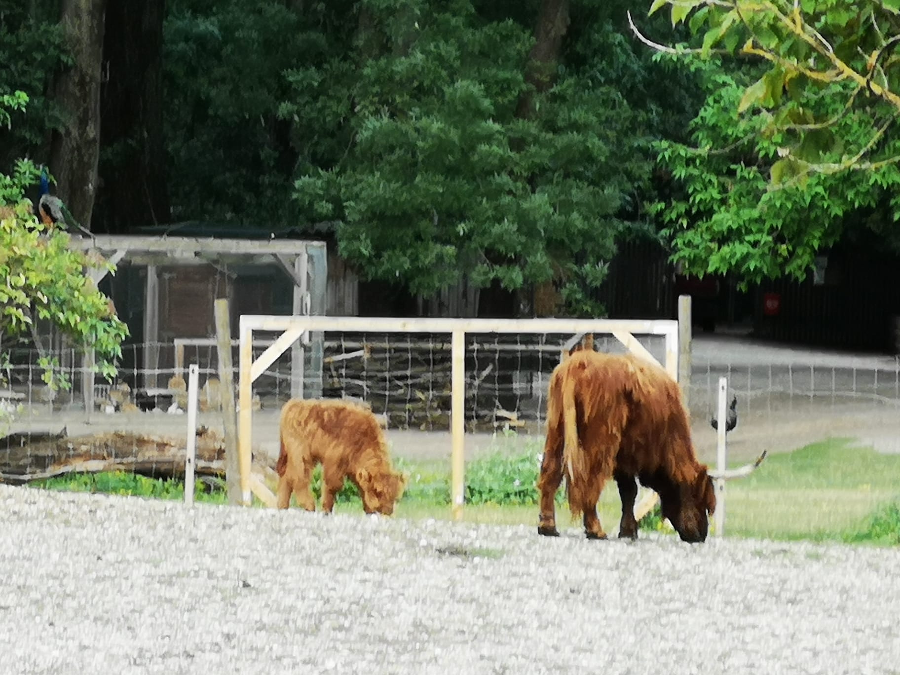 Tierpark