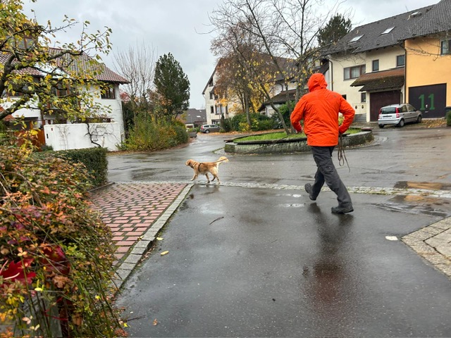 078b90b2-c48b-4ee3-aeaf-3653981d92f5