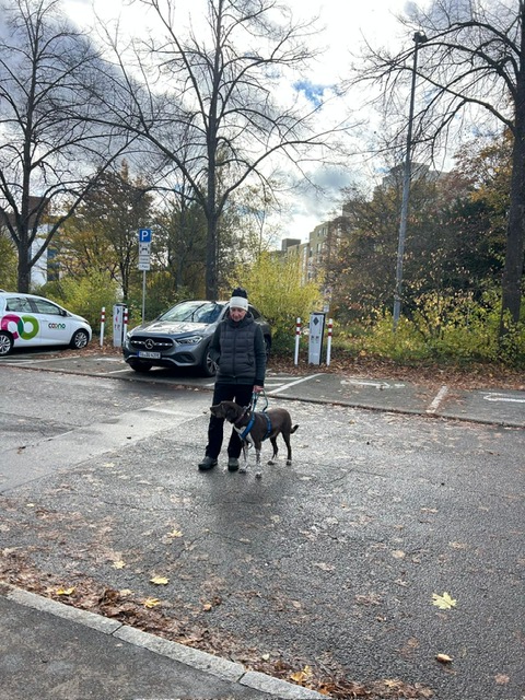 2874fd99-f4b8-4fb1-b380-8b6bf5354ad5