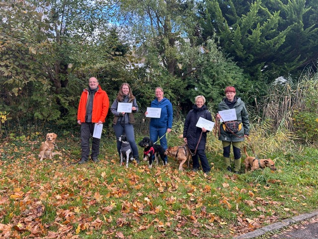 6123cb0a-7f49-452b-9f7f-cb4aea392ff9