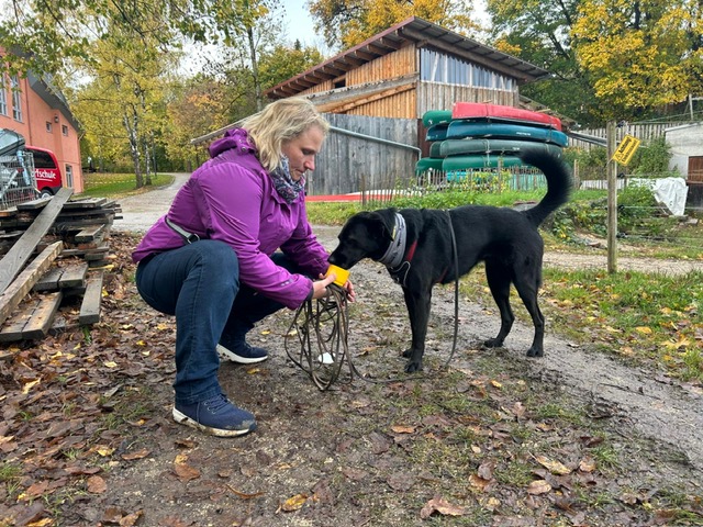 6e5e7b75-870f-482d-9b0c-3695aedc6bc3