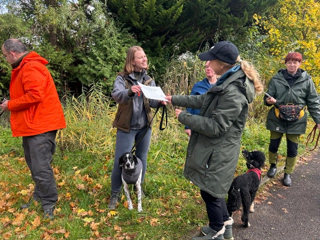 b5611ac8-b094-4a1f-84ea-07a51c588247