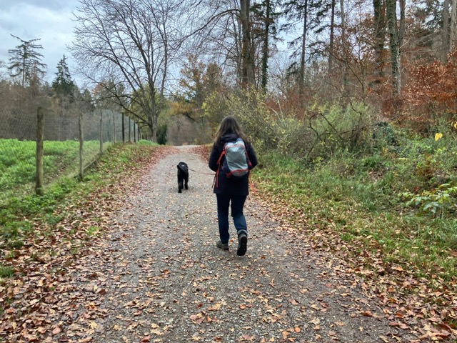 377064ab-1b59-4de2-9474-1f310c62168b