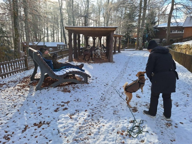 5762366f-12b0-45ba-adca-f261ec8a326c