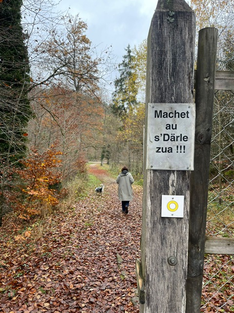 a0bba282-471e-4a52-8c0a-03f192d056b3