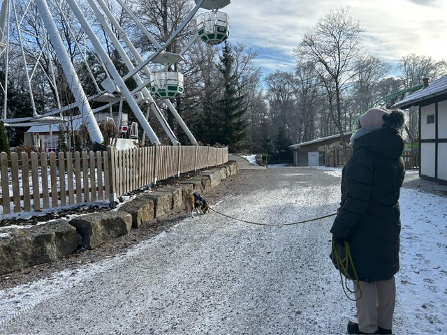 c282a2dd-b82a-4872-8439-a9bd9a9f6564