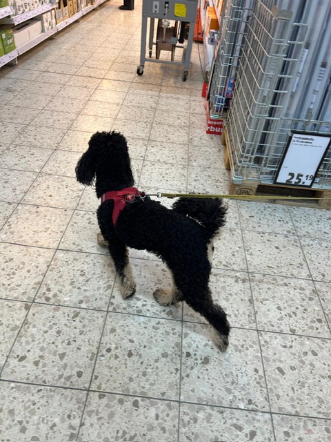 90dbf7fc-344c-47fe-b63c-c3abbcfe55f7