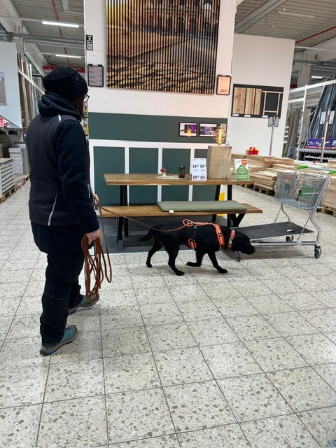 aa186980-230a-41f1-b8ce-4196456fa647