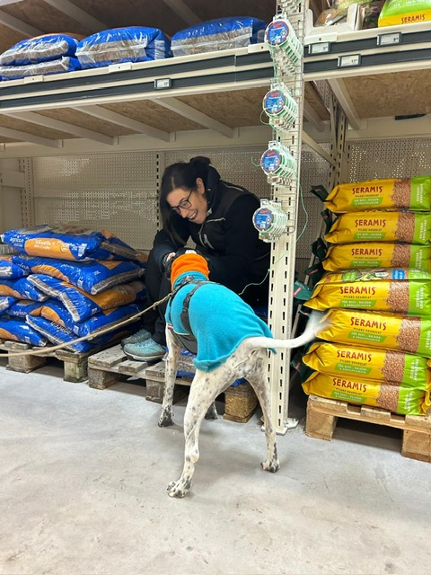 abfe7ba0-d710-4d4f-a918-0287f4fb1c32