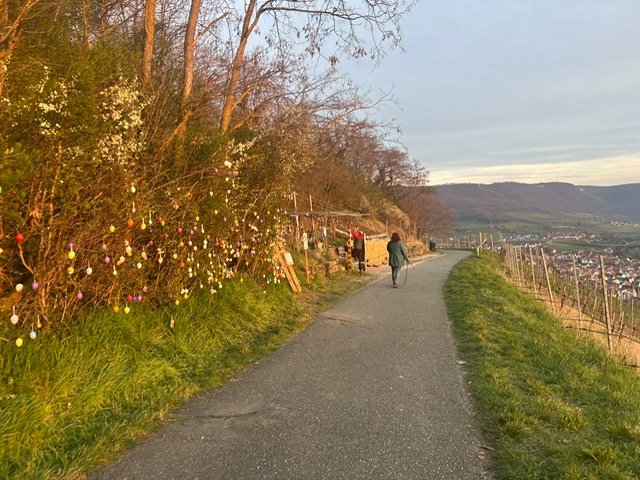 7f822382-f456-4c84-a5b5-21a780f32a78