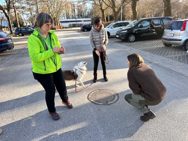 9a9381a4-70b8-4c14-9470-63bf3175c030