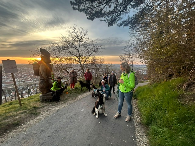 bf5ff357-e228-45f8-afb3-10ff6b63e589