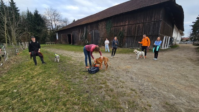 cb1c83e2-60c2-4210-96f7-535777f6593a