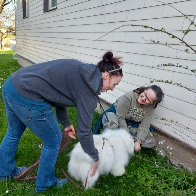 69b33453-74a1-490f-9660-85f2054a7e14