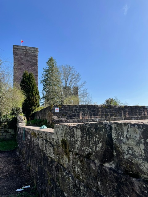 8e449251-dce2-4d75-920d-6201b2fbcba0