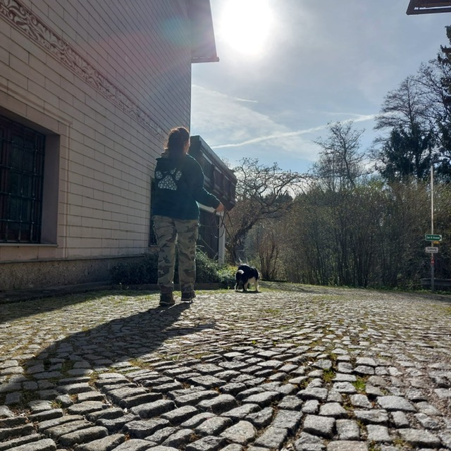 c7ef9cdd-8d93-478d-bbab-c212231e72f6