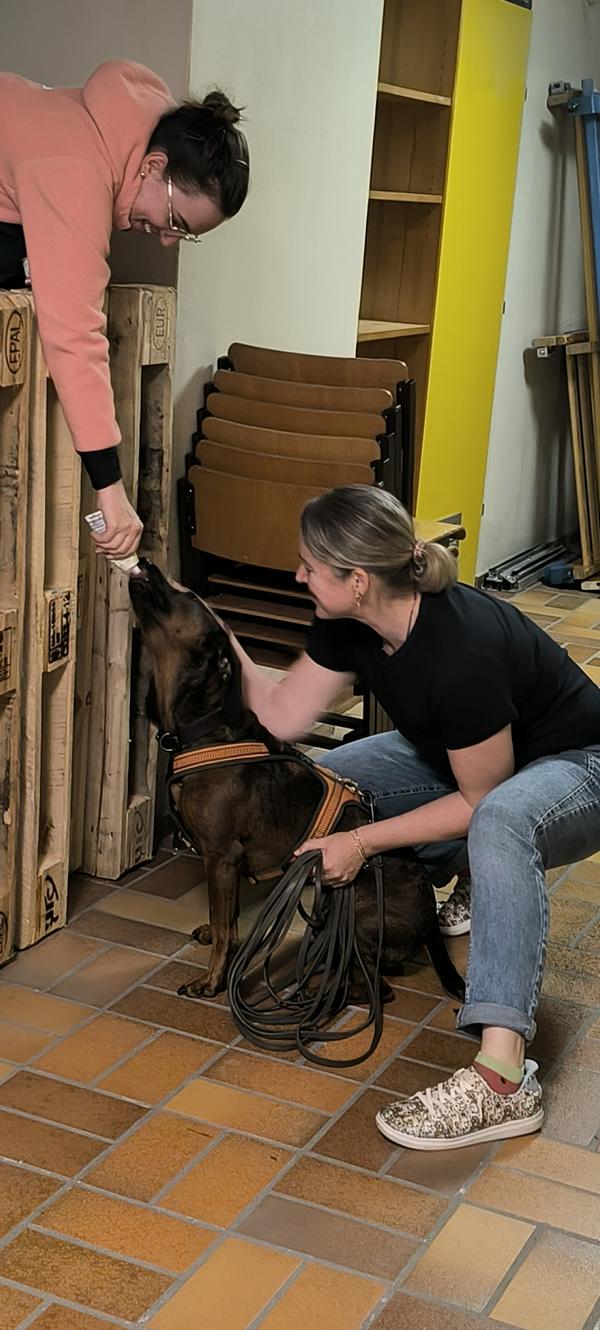 IMG_20260613_101123