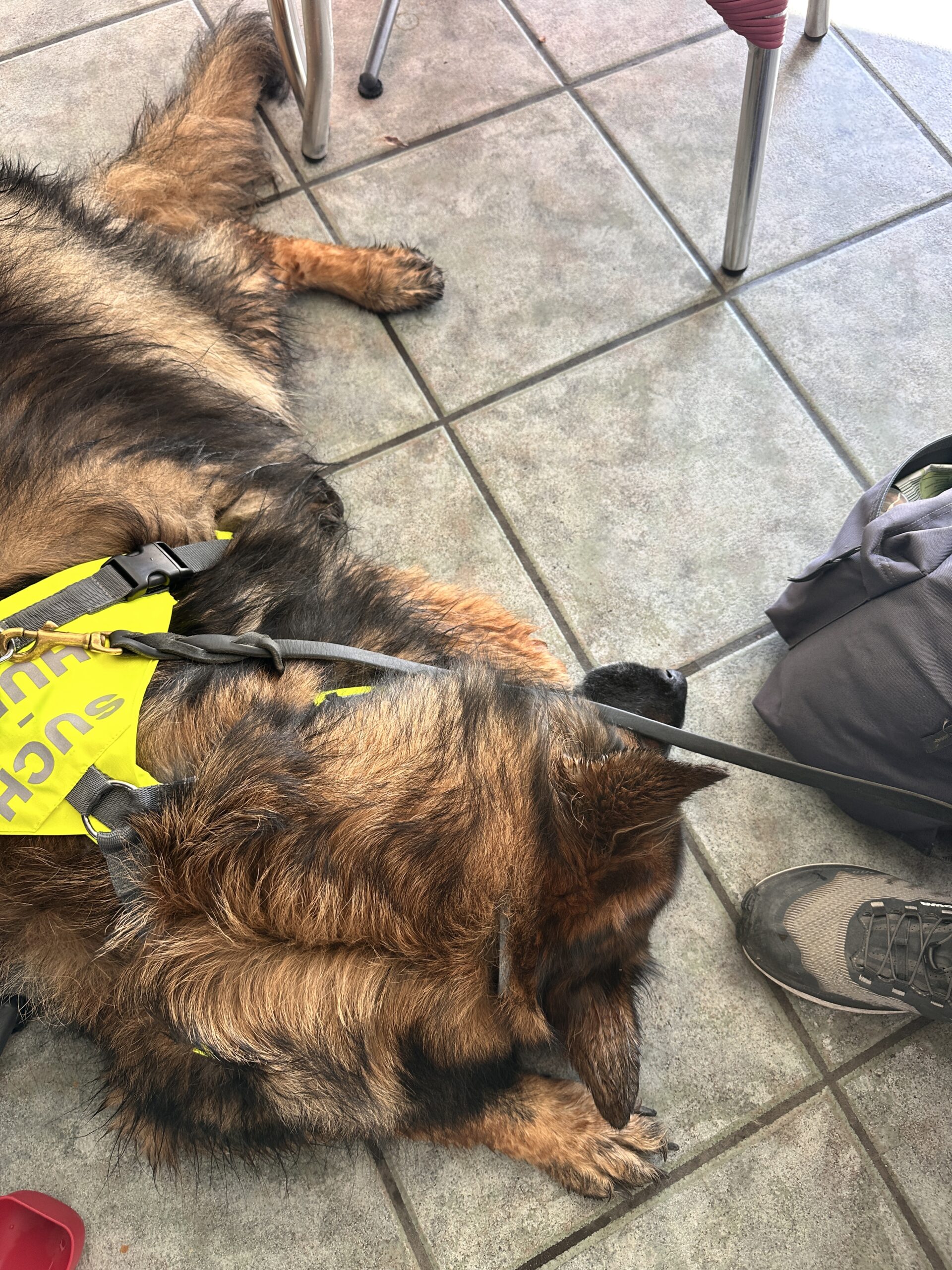 IMG_5520